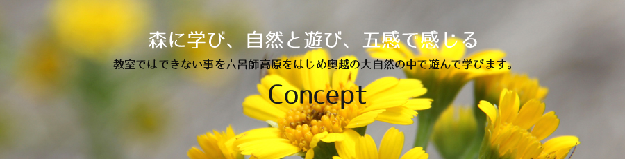 コンセプトメイン写真