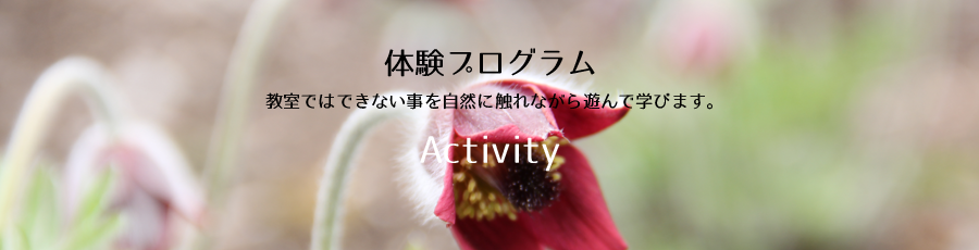 体験プログラム